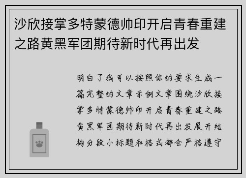 沙欣接掌多特蒙德帅印开启青春重建之路黄黑军团期待新时代再出发
